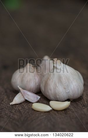Garlic.Close up of garlic bulb and cloves on wooden surface.