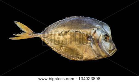 Dried sea fish on a black background