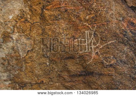 Petroglyphs on the stone in Tamgaly Kazakhstan