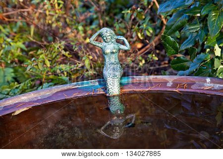 Little Mermaid Sitting On The Edge Of A Basin