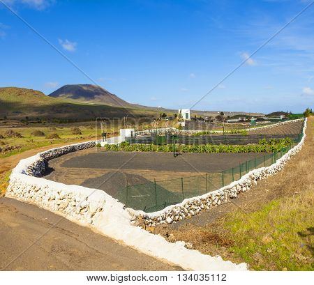 Field In Rural Area With Blue Sky
