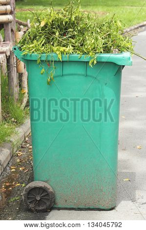 Large green bins with weeds. Green Recycle Bin.