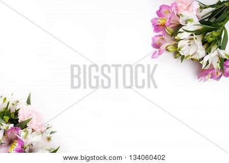 Pink and purple gillyflowers with alstroemeria in the corners of white background