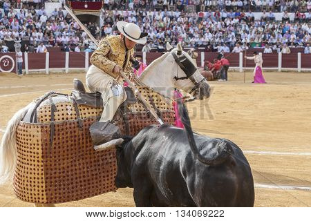 Ubeda Spain - October 3 2010: Picador bullfighter lancer whose job it is to weaken bull's neck muscles in the bullring fo Ubeda Jaen province Spain