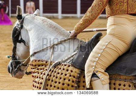 Ubeda Spain - October 3 2010: Picador bullfighter lancer whose job it is to weaken bull's neck muscles in the bullring fo Ubeda Jaen province Spain