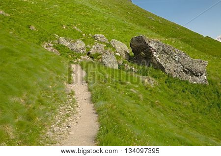 Alpine landscape with green fields