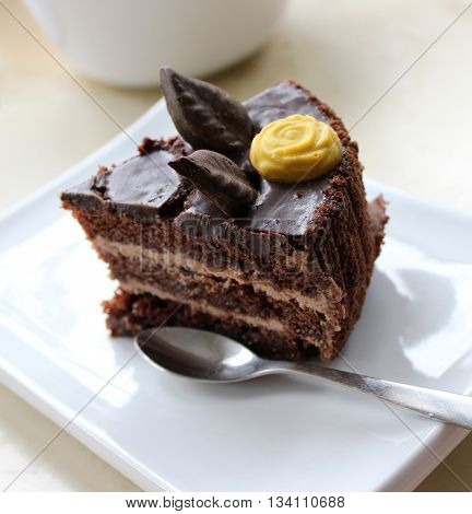 slice of delicious chocolate cake in white flat plate, closeup