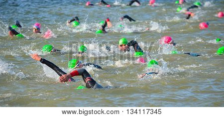 Grafham, Cambridgeshire, England - May 22, 2016:  Competitors swimming in at the end of the swimming stage at the beginning of Triathlon.