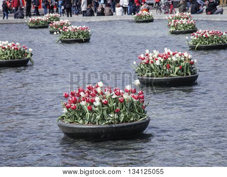 netherland, central square with sighn I love Amsterdam from water among tulip flowerbeds, lifestyle people concept