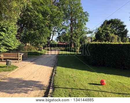 Nature in the little citys park under summer,grass-trees-brushes