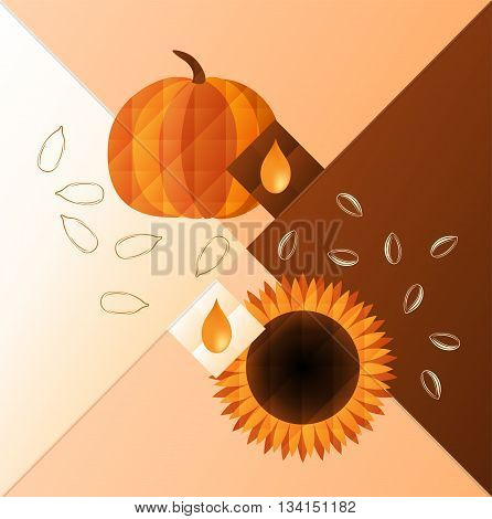 Vector illustration of pumpkin and sunflower. Oil and seeds of them.