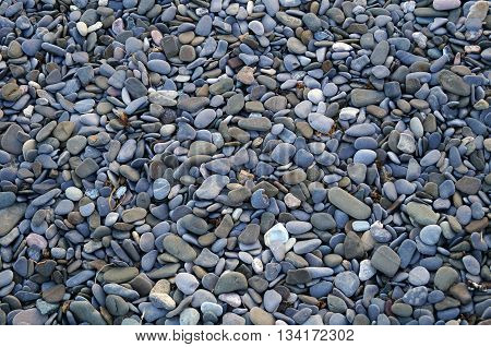 Small oval and round sea stones in white and gray