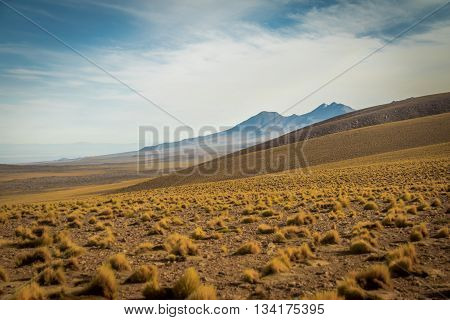Atacama Desert mountains and vegetation - Chile