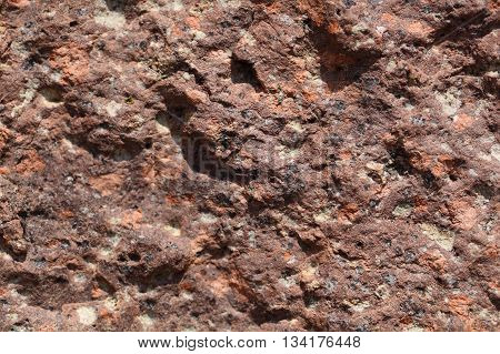 Surface of a porphyry rhyolite rock from central Europe Saxony-Anhalt. The rock contains fragments of feldspars quartz and amphibole minerals in a fine grained matrix.