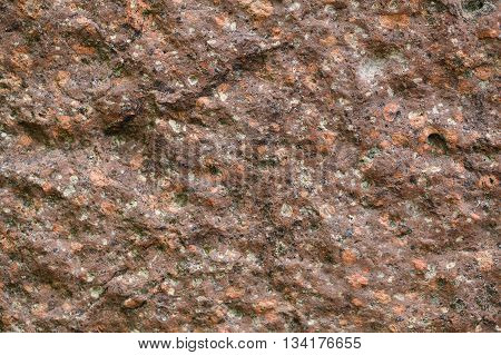 Surface of a porphyry rhyolite rock from central Europe Saxony-Anhalt. The rock contains fragments of feldspars quartz and amphibole minerals in a fine grained matrix.