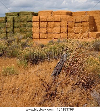 Colored Hay Stacks in the fall located in the High Desert Outback of Oregon.