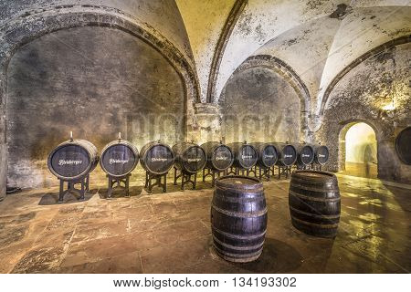 Old Vinery In Eberbach