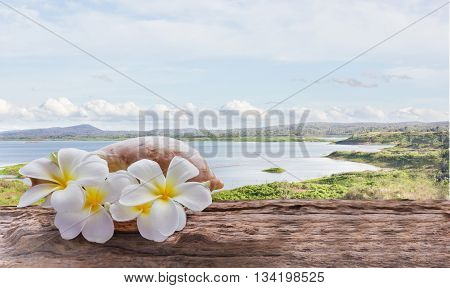 Focused at white yellow flowers plumeria or frangipani bunch in sea conch shell flowers on wooden table or log or timber table with wide reservoir or lake and mountain in puffy clouds sky view background