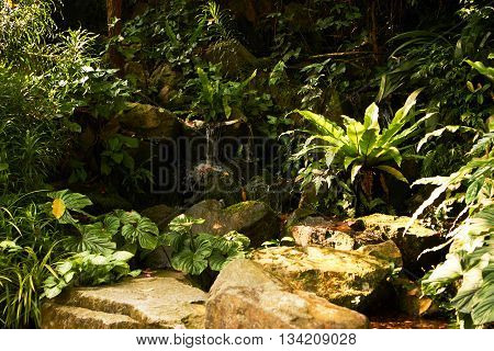small decorative water and rock garden backyard