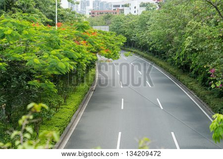 Empty road
