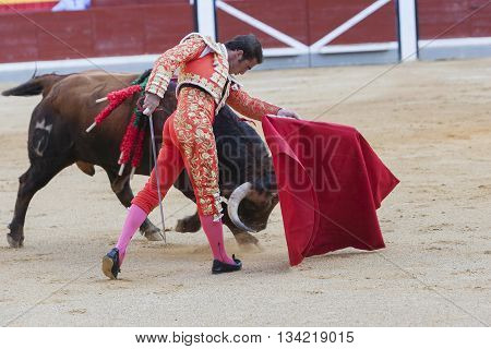 Jaen Spain - October 18 2010: The Spanish Bullfighter El Fandi bullfighting with the crutch in the Bullring of Jaen Spain