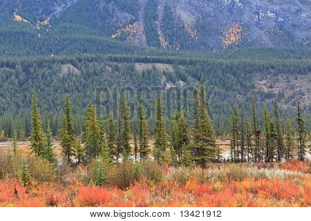 Moberly Flats