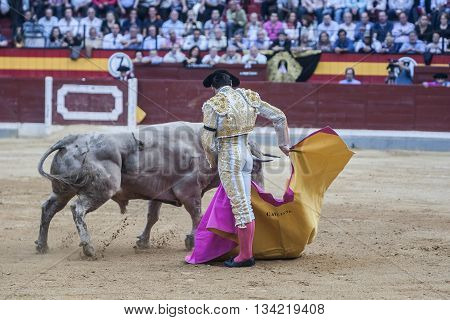 Jaen Spain - October 18 2010: The Spanish Bullfighter Cayetano Rivera bullfighting with the crutch in the Bullring of Jaen Spain