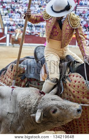 Jaen Spain - October 18 2010: Picador bullfighter lancer whose job it is to weaken bull's neck muscles in the bullring for Jaen Spain