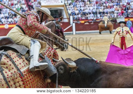 Jaen Spain - October 18 2010: Picador bullfighter lancer whose job it is to weaken bull's neck muscles in the bullring for Jaen Spain