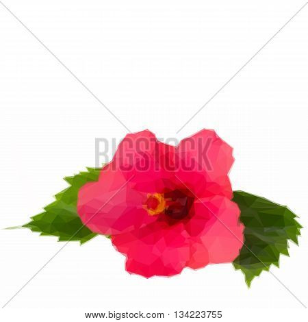 Low poly illustration red fresh hibiscus flower with green leaves