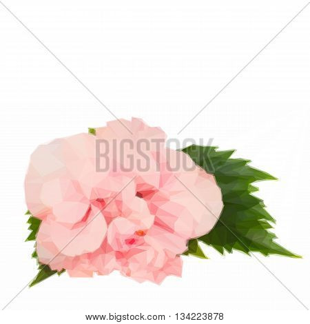 Low poly illustration pink fresh hibiscus double flower with green leaves