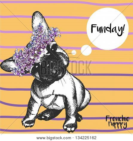 Vector close up portrait of french bulldog girl wearing the flower wreath. Hand drawn domestic pet dog illustration. Isolated on orange background with purple strips.