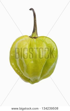 Habanero hot pepper (Capsicum chinense Habanero). Image of single green pepper isolated on white background