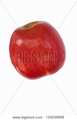 Cripps pink apple (Malus domestica Cripps Pink). Alternate name is Pink lady apple. Image of single apple isolated on white background
