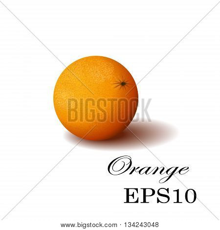 Orange isolated Vector Orange. Illustration of Orange. Orange on transparent background. Juicy Orange tropical fruit.