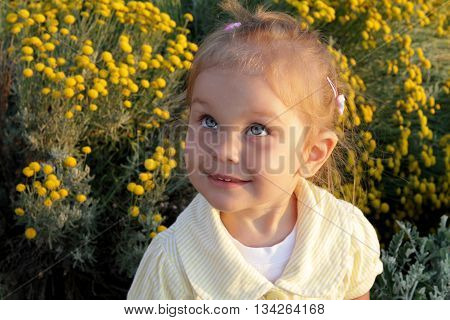 little girl with blue eyes and blond hair portrait in yellow evening sunlight toddler