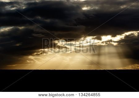 Light - Addo Landscape