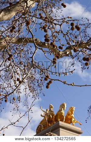 Platanus tree and Quadriga of Aurora in Ciutadella Parc in Barcelona Spain.