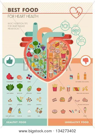 Human heart with healthy fresh vegetables on one side and junk unhealthy food on the other side healthy food for heart infographic