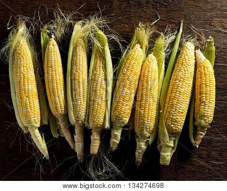 Fresh local organic corn on the cob against a rustic harvest table background.