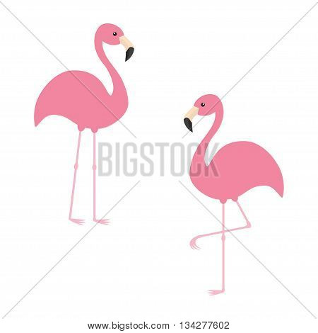 Two pink flamingo set. Exotic tropical bird. Zoo animal collection. Cute cartoon character. Decoration element. Flat design. White background. Isolated. Vector illustration