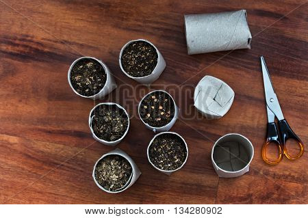 Toilet paper roll recycled as a seedling planters
