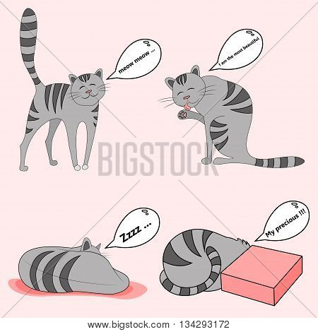 set with a picture of a cats leisure