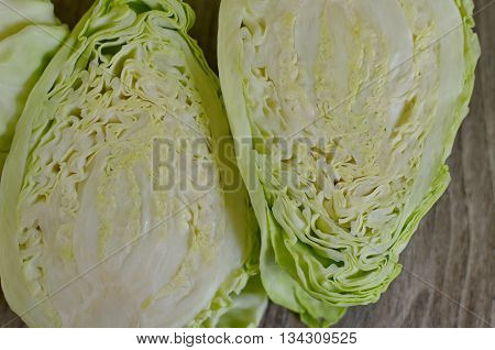 Conic Cabbage Cut In Half