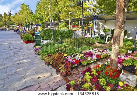 AIGALEO GREECE, MAY 28 2016: annual flower exhibition at mountain Aigaleo Greece. Editorial use.