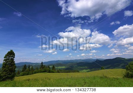 Mountains Pieniny in Slovakia and Poland in June