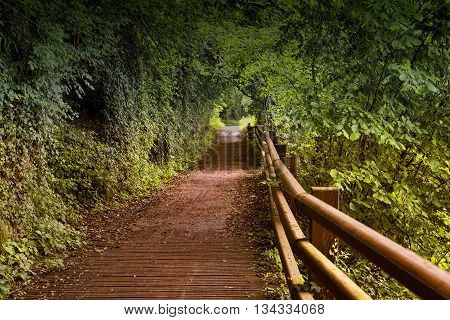 The bicycle path of the Lambro river in Brianza (Lombardy Italy) at spring