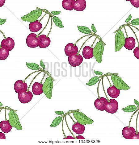 Vector seamless pattern. Branches with leaves and cherries on a white background. Illustration for design packaging paper wallpaper fabrics textiles.