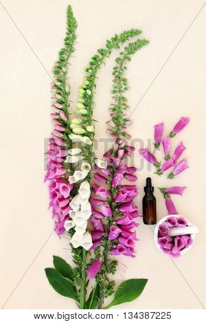 Foxglove flower arrangement with dropper bottle and mortar with pestle over handmade paper background.  Digitalis purpurea.