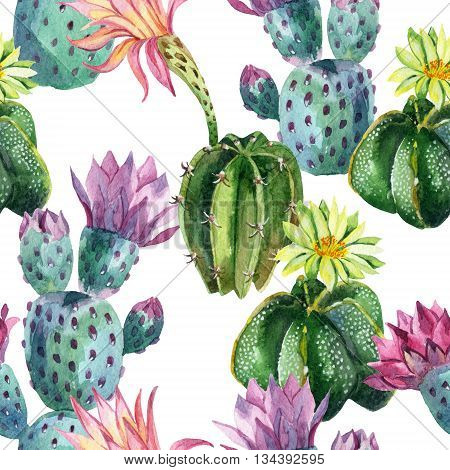 Watercolor seamless cactus pattern. Cacti art background